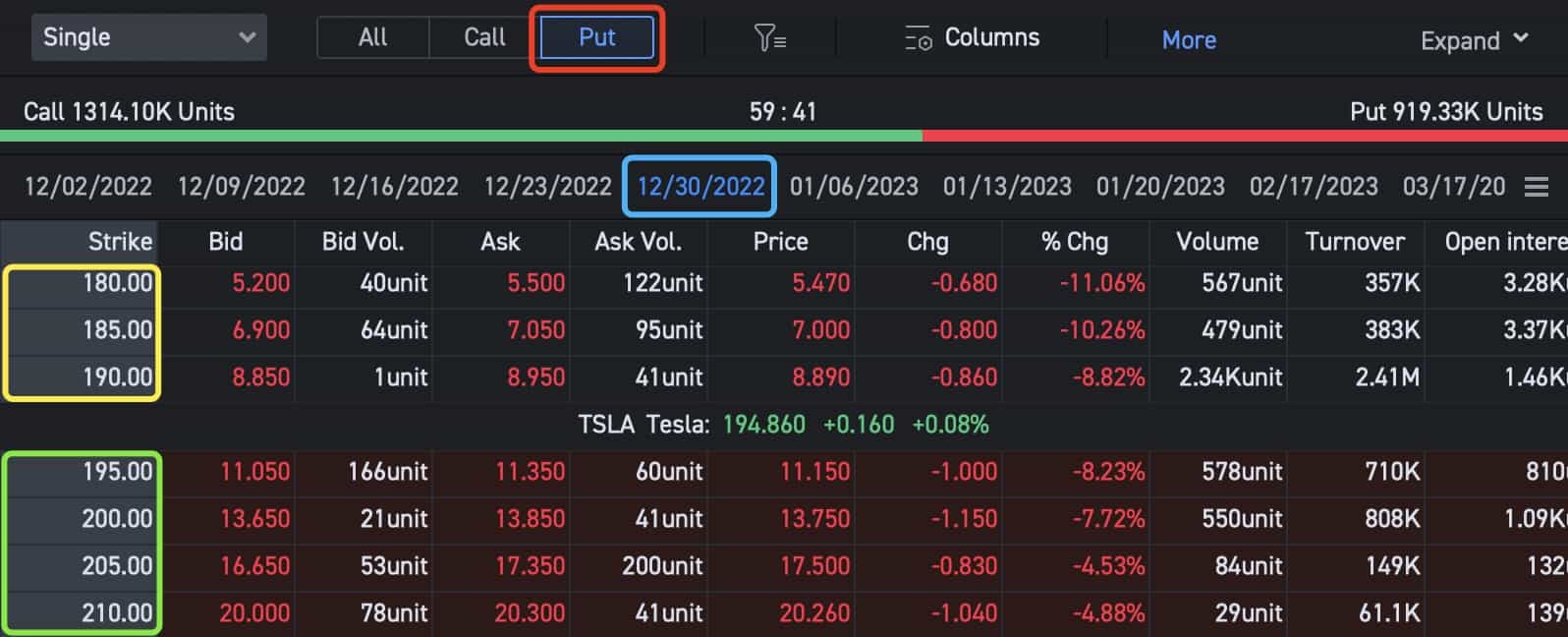 TSLA Options Chain for the Protective Put Option Strategy